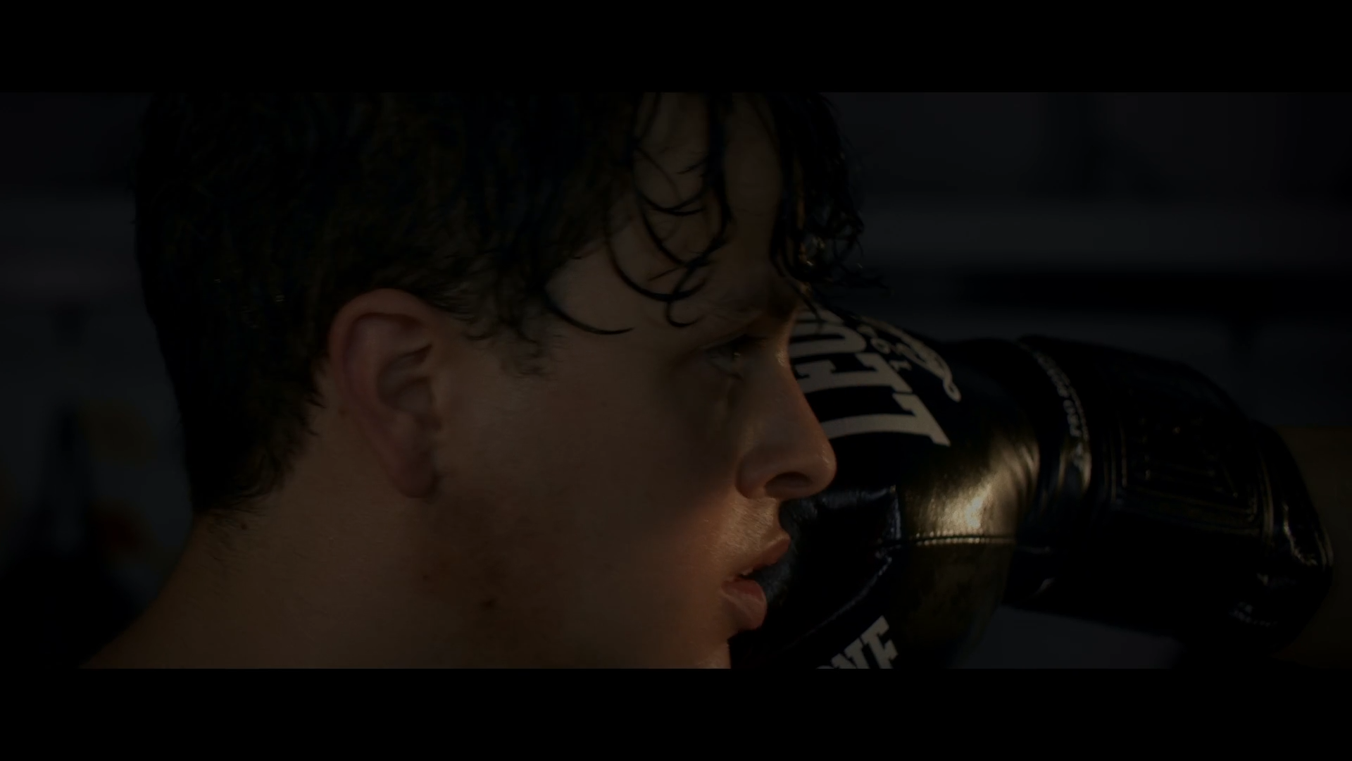 Close-up of a boxer and a boxing glove
